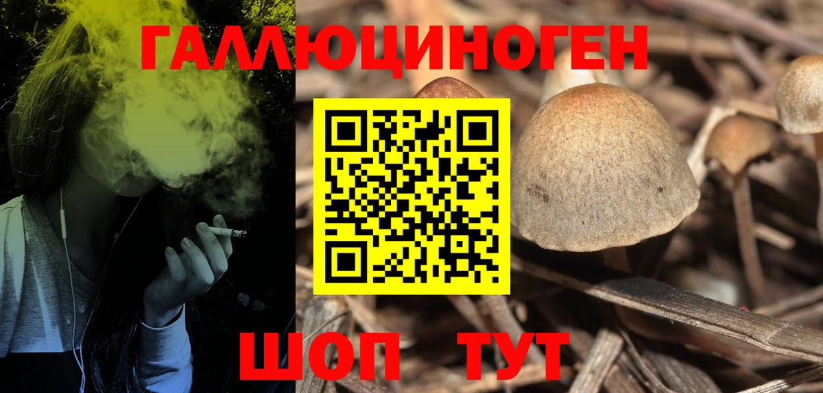 Псилоцибиновые грибы Psilocybe Нефтекамск
